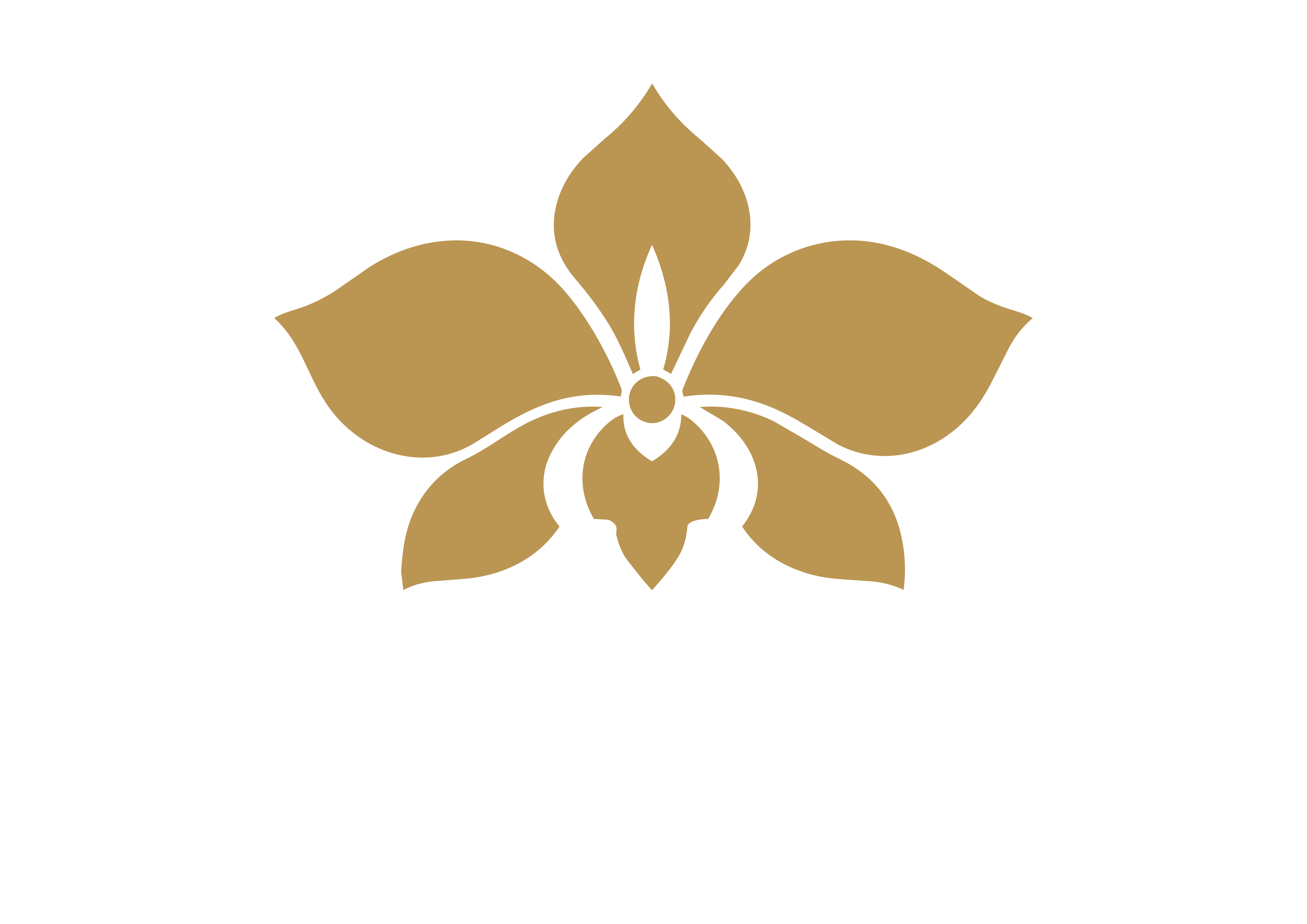 Blue Orchid logo